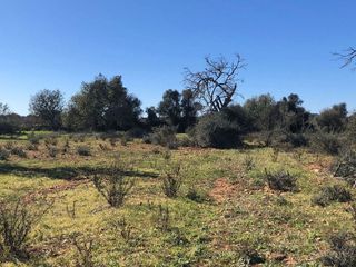 Terreno en venta en Porreres