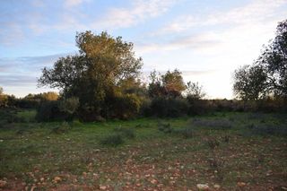 Terreno en venta en Porreres