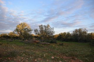 Terreno en venta en Porreres