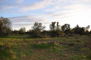 Terreno en venta en Porreres