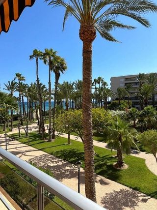 Piso en alquiler en Playa de los Locos en Torrevieja