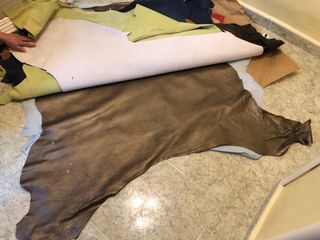 Pieles flor de cerdo Lote Completo