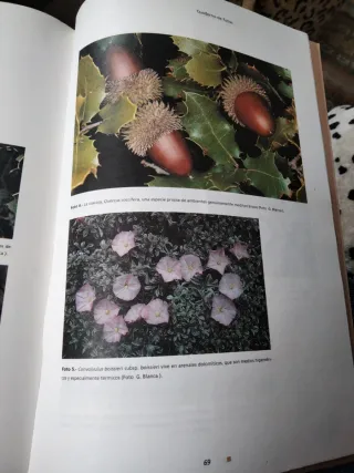 Introducción a la flora andaluza