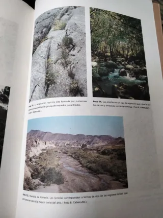 Introducción a la flora andaluza