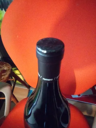Botella Gigante Vino 5L Vacía Sellada