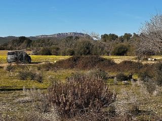 Solar en venta en Porreres