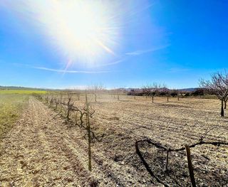 Solar en venta en Porreres