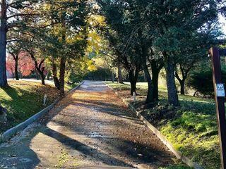 Chalet en alquiler en Monteclaro en Pozuelo de Alarcón