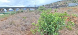 Terreno en alquiler en Arafo