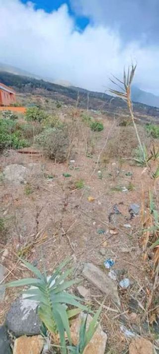 Terreno en alquiler en Arafo