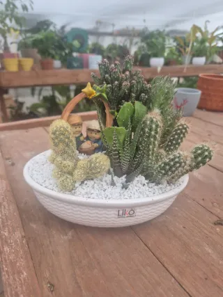 Composizione piante grasse con natività