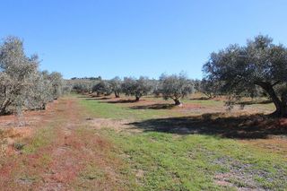 Chalet en venta en Arriate