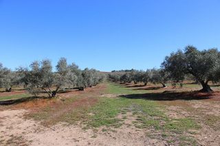 Chalet en venta en Arriate