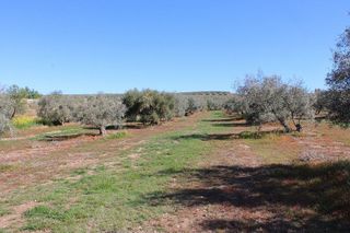 Chalet en venta en Arriate