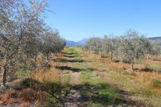 Chalet en venta en Arriate