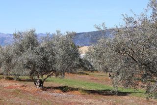 Chalet en venta en Arriate