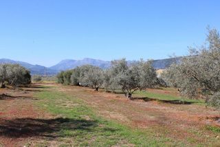 Chalet en venta en Arriate