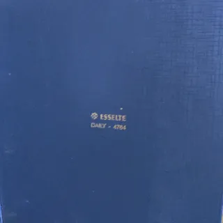 Raccoglitore ad anelli blu Esselte