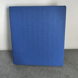 Raccoglitore ad anelli blu Esselte