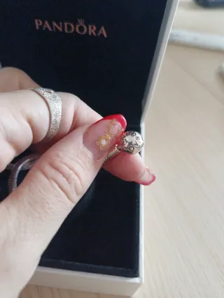 Collar Pandora moments plata