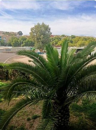 Piso en venta en Juan XXIII en Alicante