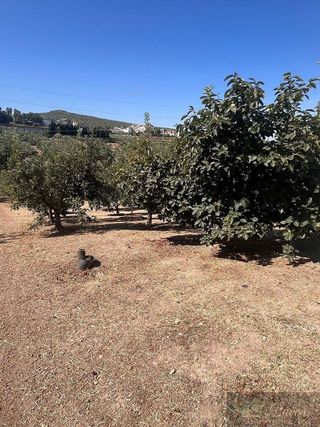 Casa rural en venta en Rute