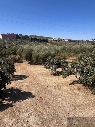 Casa rural en venta en Rute