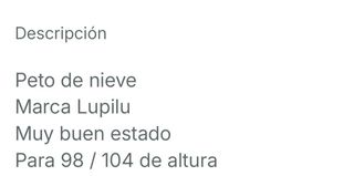 Peto niño nieve gris