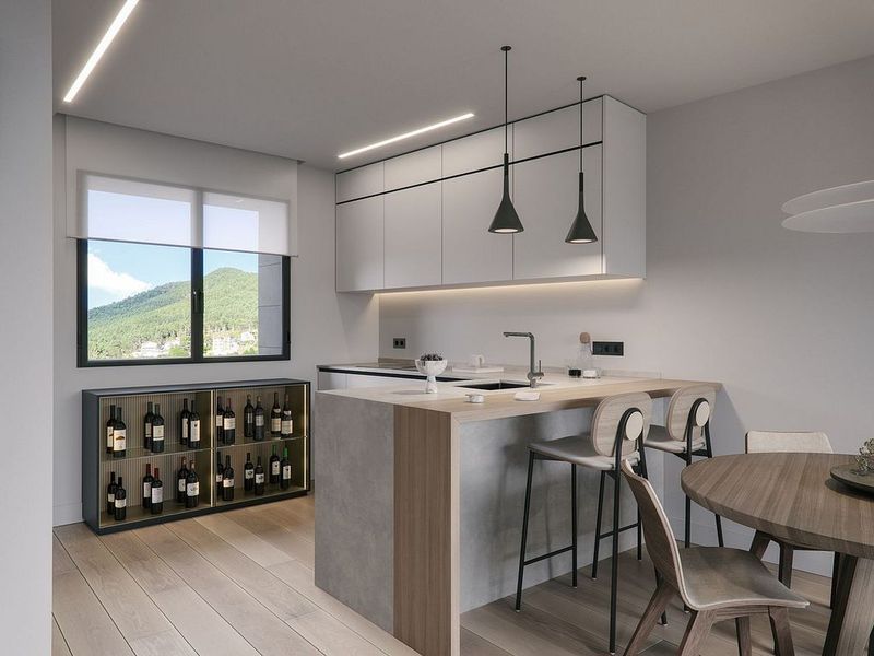 Commercial premises for sale in L'Aldosa, La Massana · 15 of 26