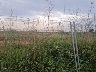 Solar en venta en Picassent