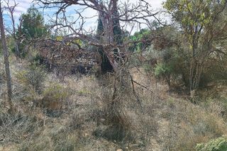 Terreno en venta en Caspe