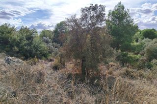 Terreno en venta en Caspe