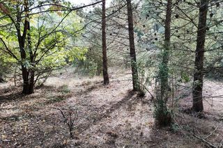 Terreno en venta en Caspe