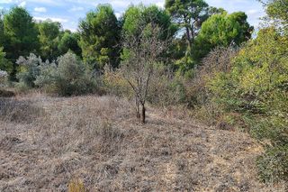 Terreno en venta en Caspe