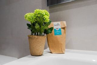 Piso en alquiler en Centro Histórico en Málaga