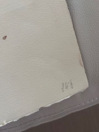 Grabado antiguo Flora Bartoloxxi