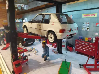 Maqueta Peugeot 205 Rally 1:18