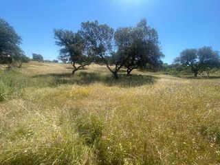 Solar en venta en Las Vaguadas - Urb. del Sur en Badajoz