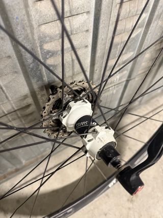 Ruota Bici Corsa DT Swiss H1850 Spline