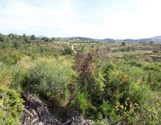 Terreno en venta en Teulada Pueblo en Teulada