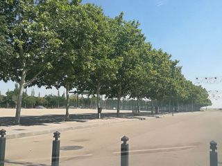 Terreno en venta en Almagro