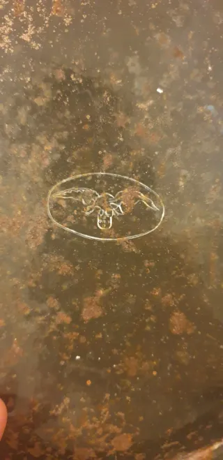 Lavatório antigo completo