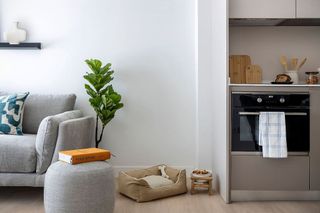 Piso en alquiler en Zona Industrial en Alcobendas