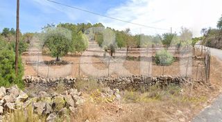 Terreno en alquiler en Sant Joan de Labritja