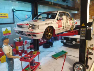 Maqueta Peugeot 309 Rally Otto 1:18