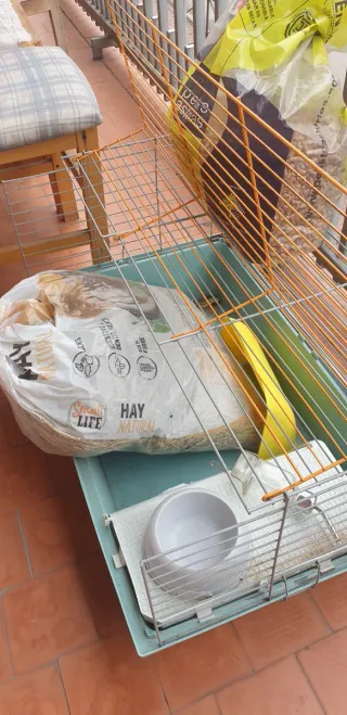 Jaula para cobayas regalo