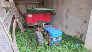 Tractor pascuali