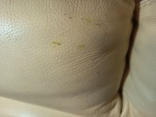 Divano Chateau d'Ax Pelle Crema