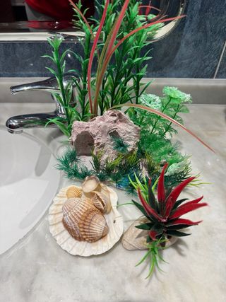 Acuario 25L para peces