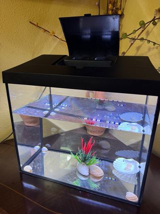 Acuario 25L para peces
